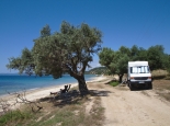 Am Strand mit schattigem Olivenbaum (Kalkidiki Griechenland)