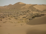 in der Wüste bei Marenjab