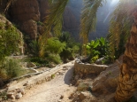 Wanderung im Wadi Shab