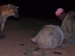 Die Besonderheit von Harar: Hyänenfütterung
