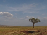 Landschaft im Kidepo NP
