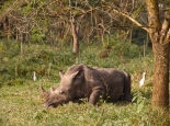 ... im Ziwa Rhino Resort