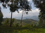 Landschaft am Kivu-See