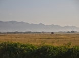 Blick in die Serengeti von der Straße