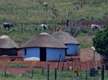 Zulu/Swasi Dorf am Parkrand